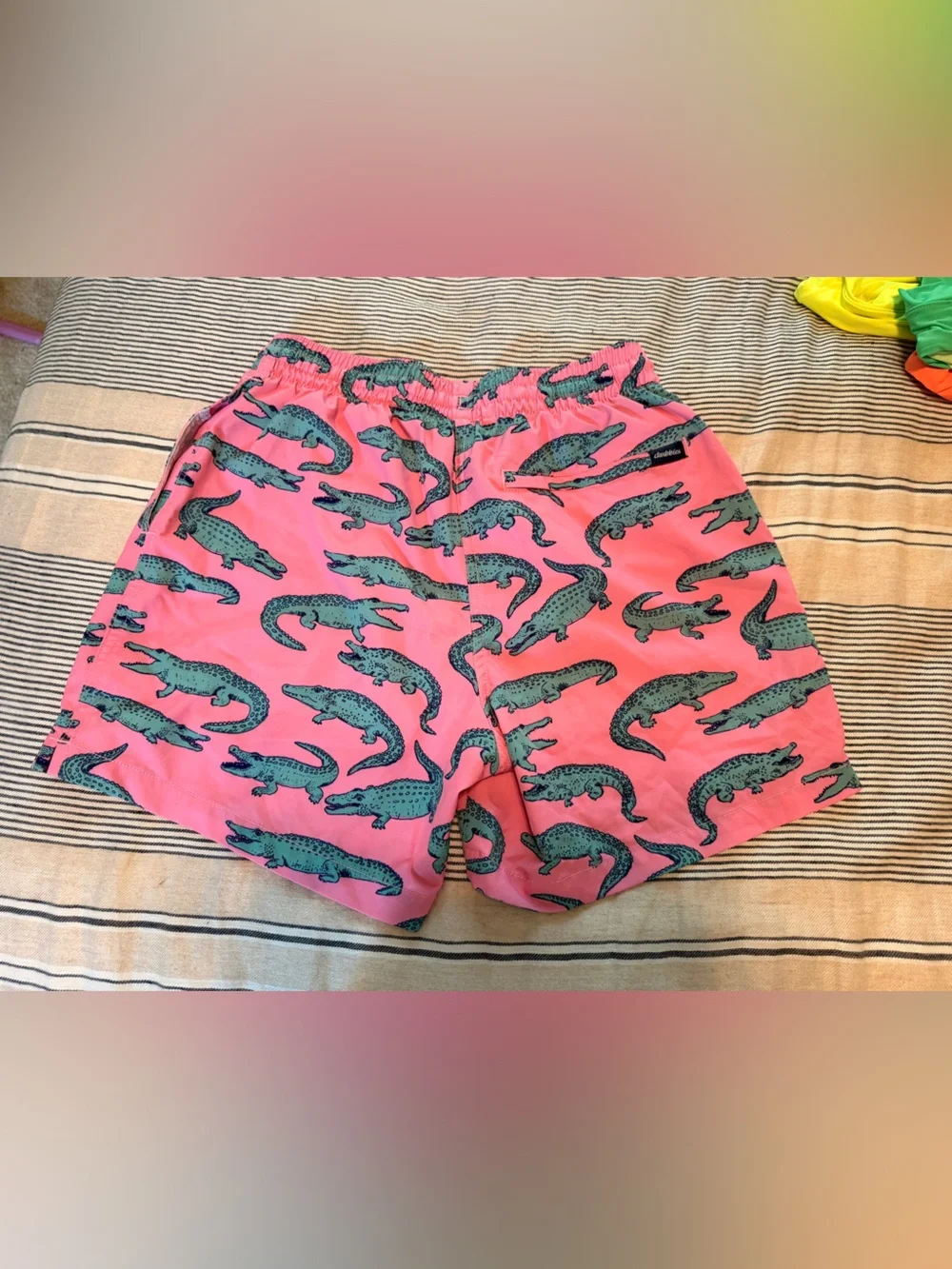 Chubbies swim trunks